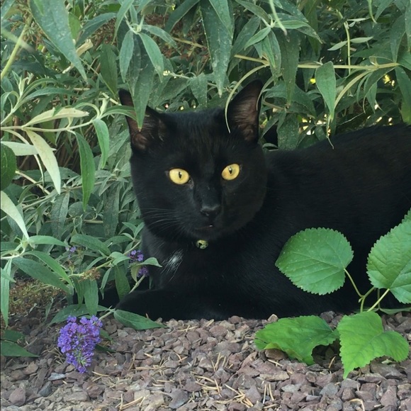 Meet your Posher, Laurie - Picture 13 of 15